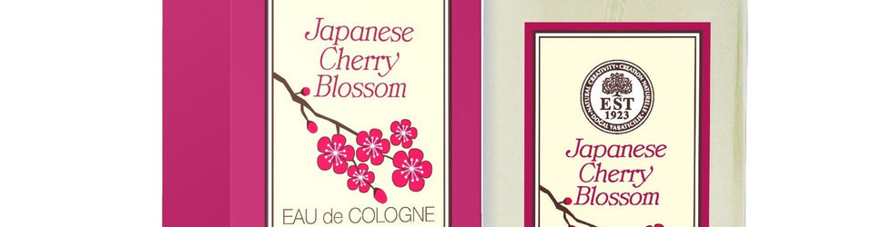 Japanese Cherry Blossom