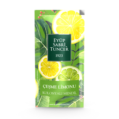 Eyup Sabri Tuncer Cesme Lemon Wet Wipe Refreshment Towel, Pack of 150